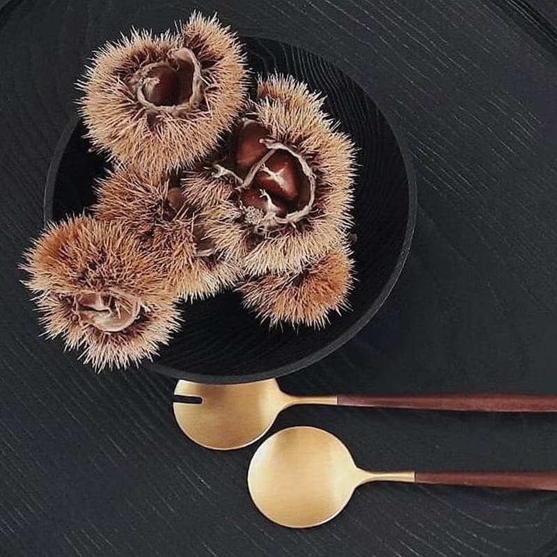 葡萄牙 Cutipol | GOA /  棕金 沙拉叉匙組