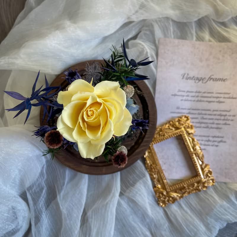 【盼望】永生花玻璃罩 燈座款 日本進口永生花