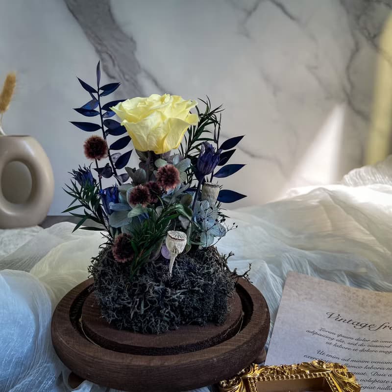 【盼望】永生花玻璃罩 燈座款 日本進口永生花