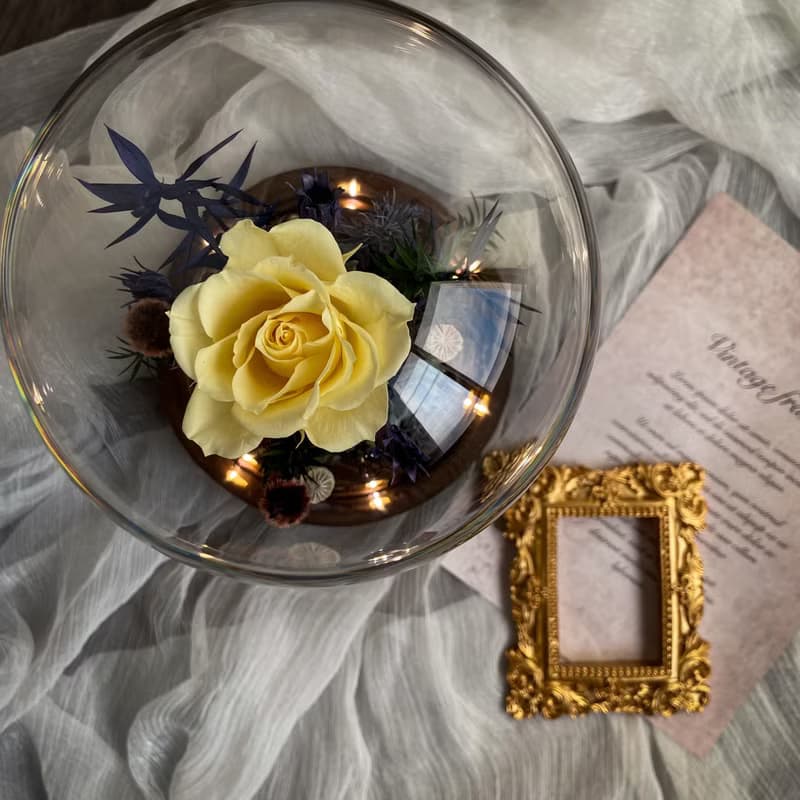 【盼望】永生花玻璃罩 燈座款 日本進口永生花
