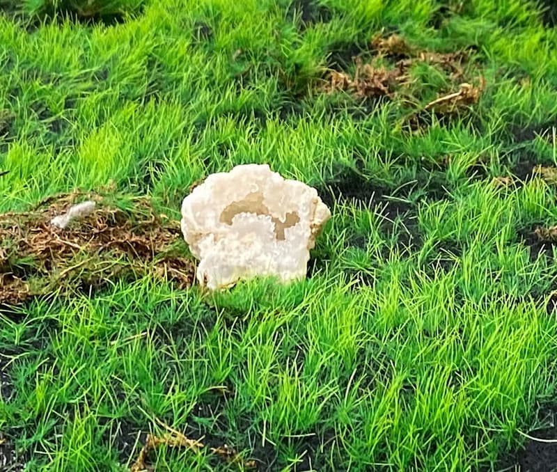 能量擺飾-招財可愛星星瑪瑙小白晶花洞 療癒 開運 招財 原礦