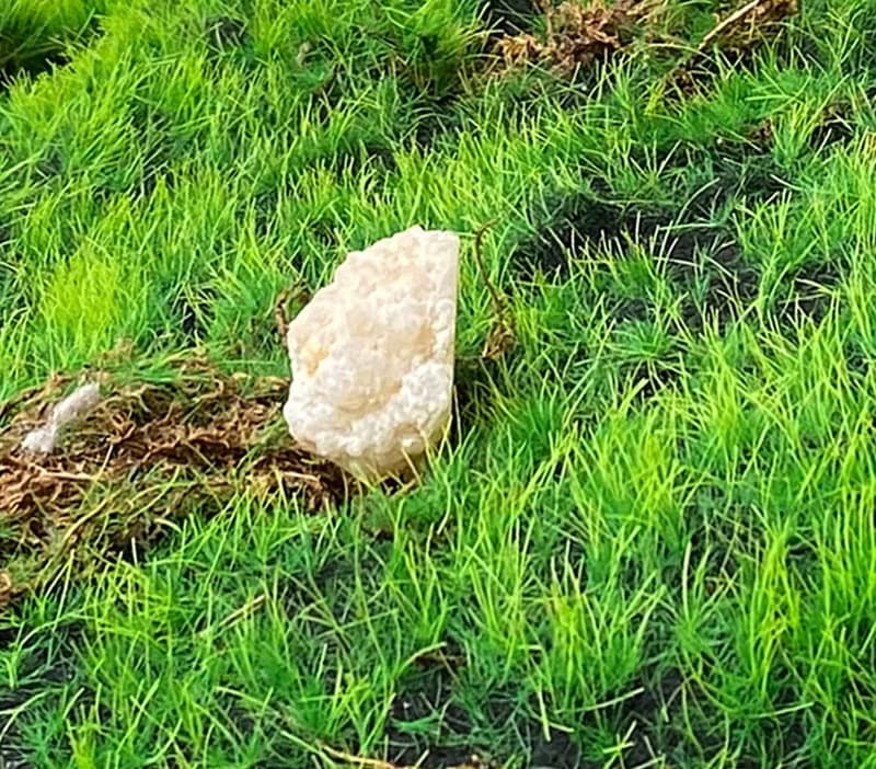 能量擺飾-招財可愛星星瑪瑙小白晶花洞 療癒 開運 招財 原礦