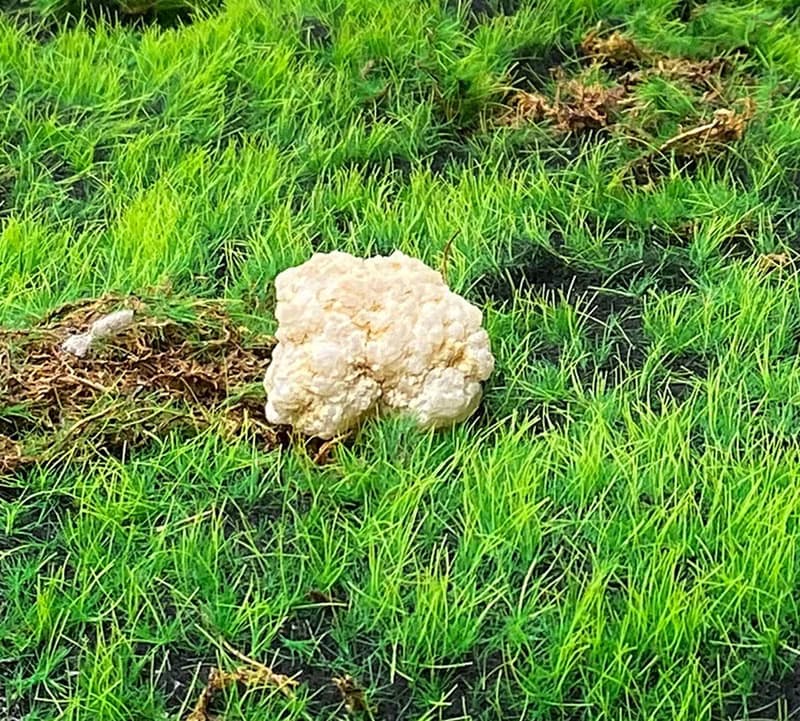 能量擺飾-招財可愛星星瑪瑙小白晶花洞 療癒 開運 招財 原礦