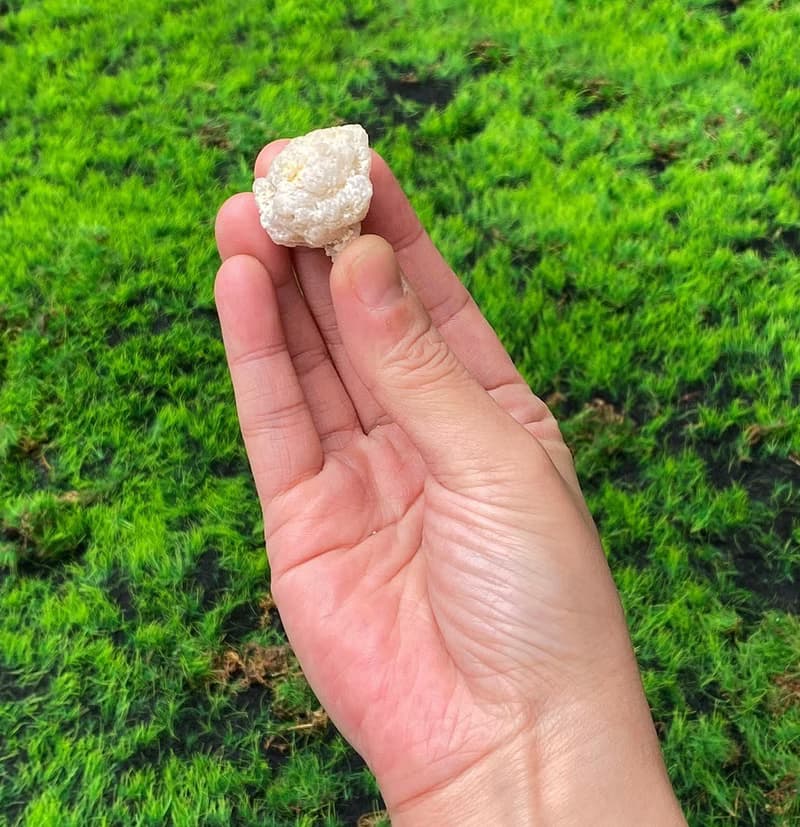能量擺飾-招財可愛星星瑪瑙小白晶花洞 療癒 開運 招財 原礦