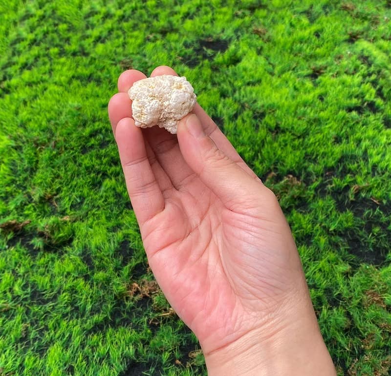 能量擺飾-招財可愛星星瑪瑙小白晶花洞 療癒 開運 招財 原礦
