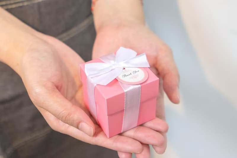 PINK盒裝 大頭款小狗磁鐵 小禮盒 創意文具 驚喜抽獎 婚禮小物