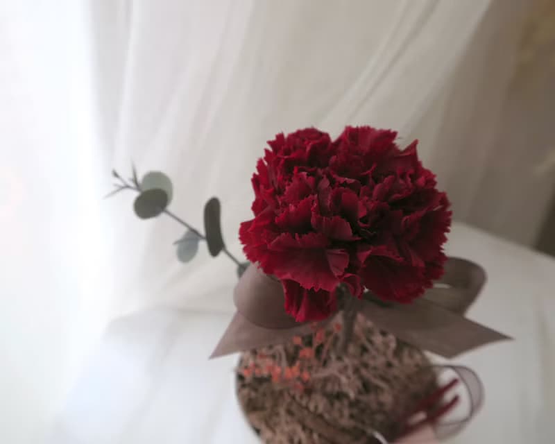 母親節禮物ー大理石紋單朵永生康乃馨桌花 | 永生花/乾燥花