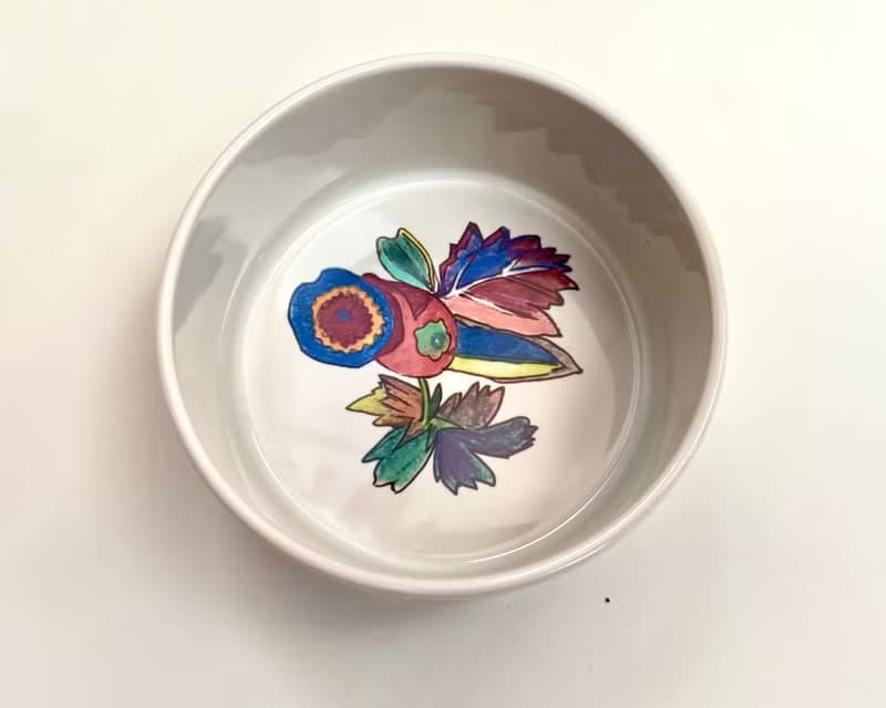 Rosenthal 瓷碗 Scenario Natura |設置 2 德國