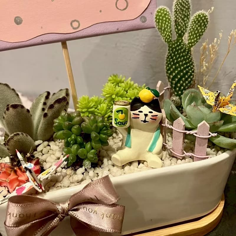 舉杯慶祝 貓 台中多肉組盆 多肉植物 植栽送禮 生日禮 日本decole