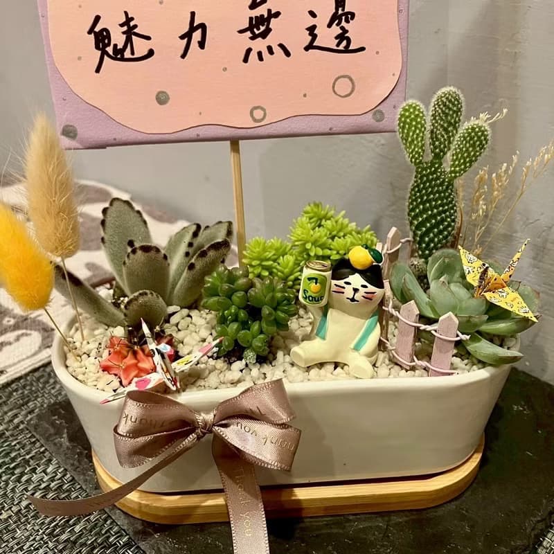 舉杯慶祝 貓 台中多肉組盆 多肉植物 植栽送禮 生日禮 日本decole
