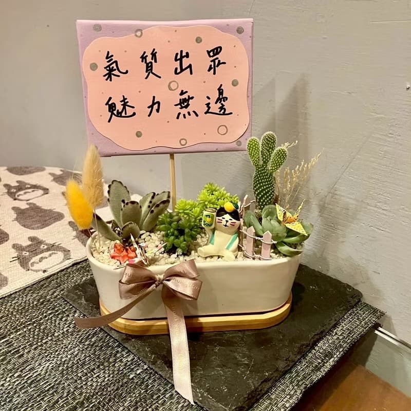 舉杯慶祝 貓 台中多肉組盆 多肉植物 植栽送禮 生日禮 日本decole