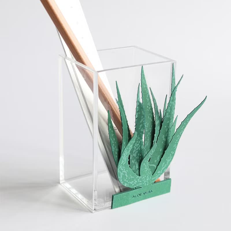 【立體植物貼紙】費拉蘆薈 (605022) FingerART紙雕紙藝術
