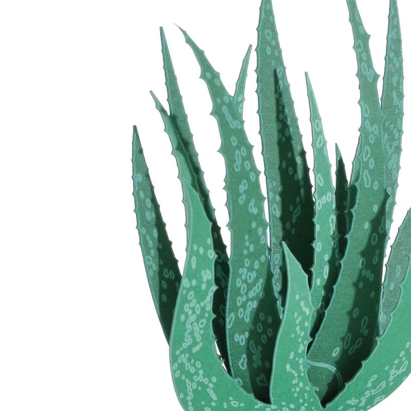【立體植物貼紙】費拉蘆薈 (605022) FingerART紙雕紙藝術