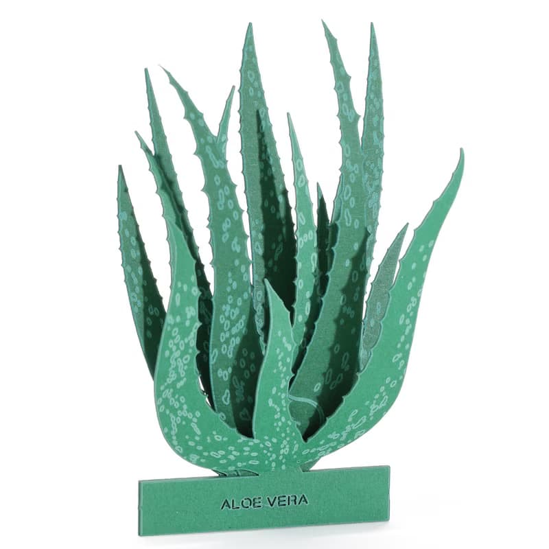 【立體植物貼紙】費拉蘆薈 (605022) FingerART紙雕紙藝術