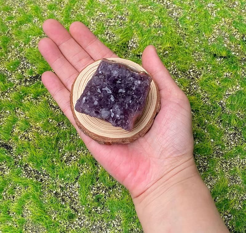 招財開運-天然原皮原礦四方來財紫晶簇 紫水晶 消磁淨化 快速出貨