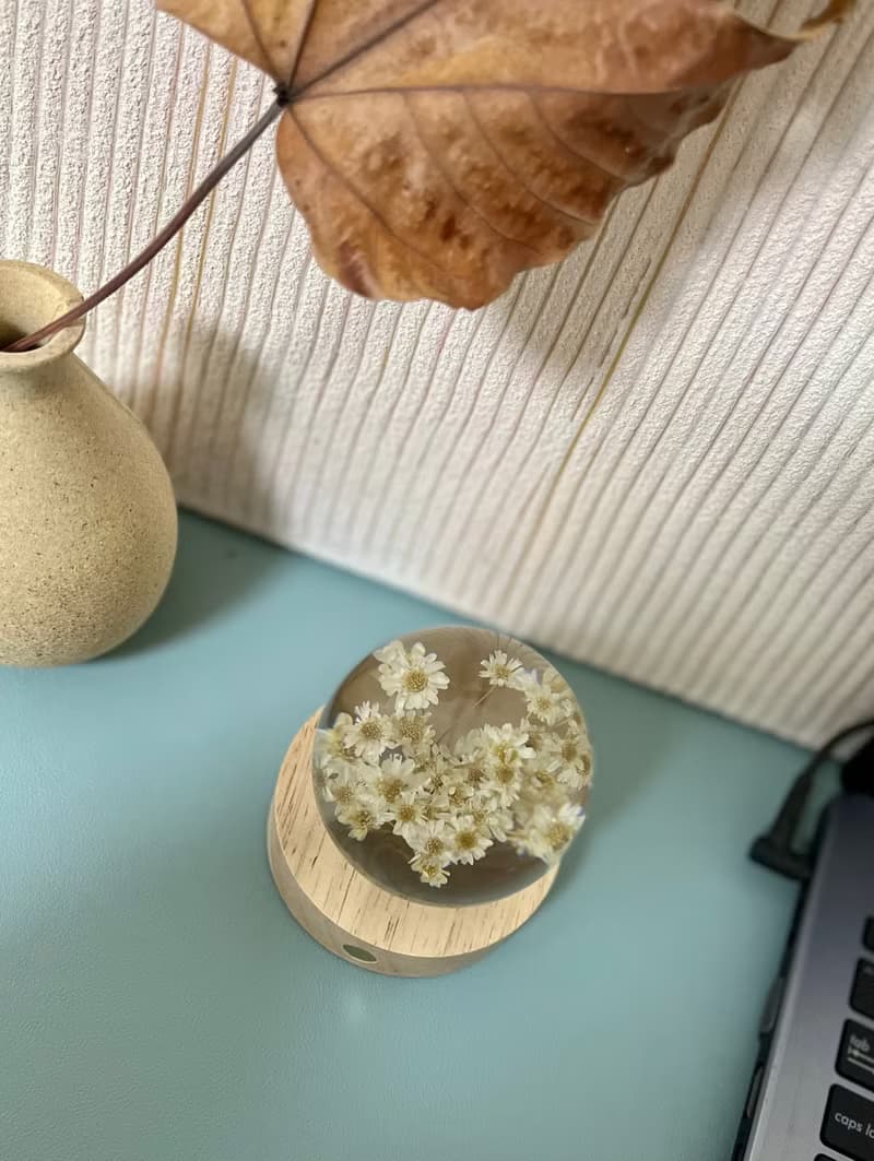 白色小雛菊7cm樹脂夜燈/插電燈座or充電燈座可選
