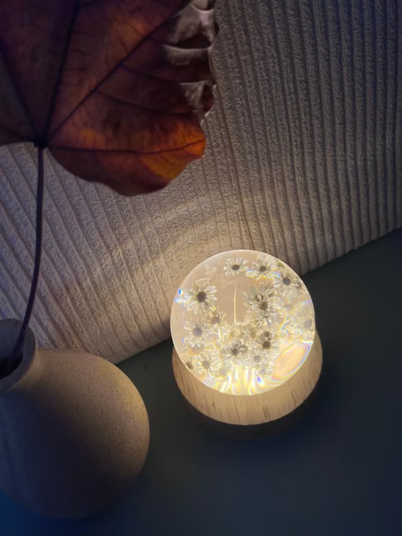 白色小雛菊7cm樹脂夜燈/插電燈座or充電燈座可選
