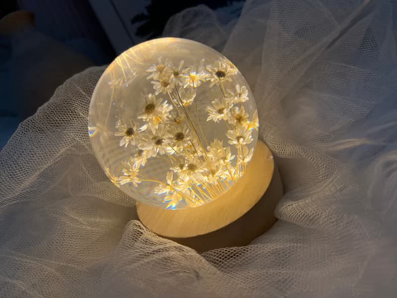白色小雛菊7cm樹脂夜燈/插電燈座or充電燈座可選