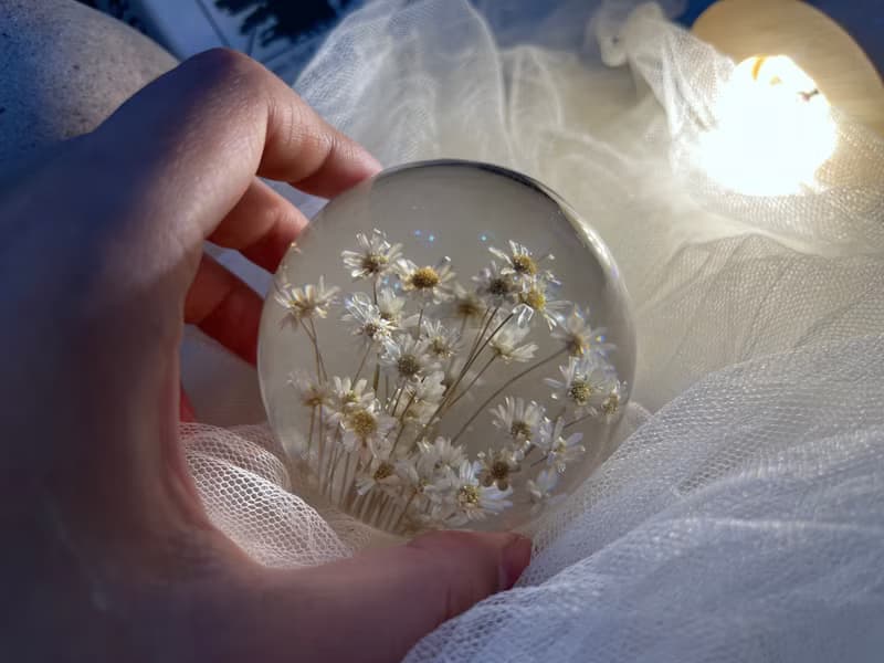 白色小雛菊7cm樹脂夜燈/插電燈座or充電燈座可選