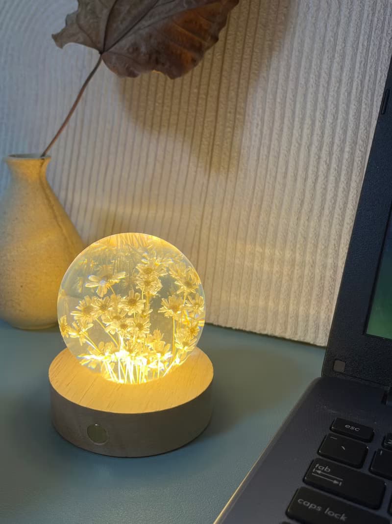 白色小雛菊7cm樹脂夜燈/插電燈座or充電燈座可選