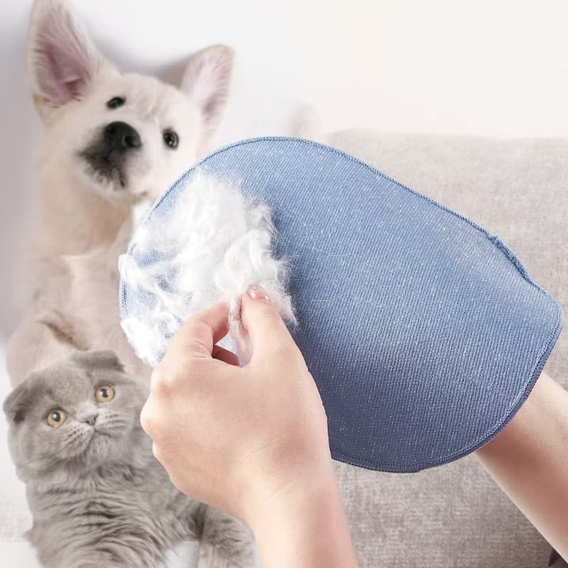 【瑪思特】寵物除毛手套