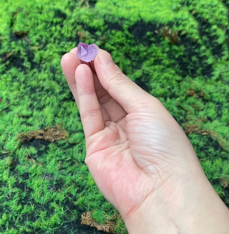 黑碧璽 紫晶骨幹 | 招財開運 避邪保平安 | 入厝 禮品 快速出貨