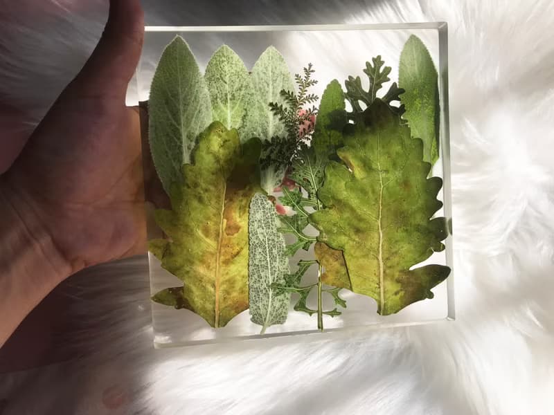 樹葉繪畫小森林系列/環氧樹脂裝飾夜燈