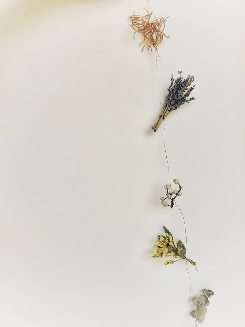 輕盈跳舞植物串∣ 銅線 乾燥花藝吊飾.擺拍.裝飾.生活佈置.禮物.