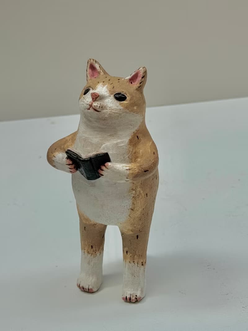 閱讀的貓