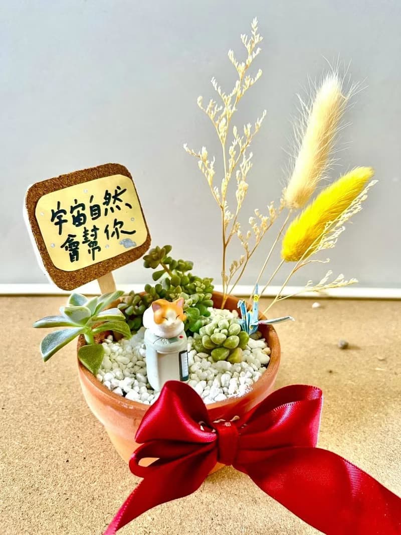 台中 多肉組盆 多肉植物 日式枯山水 微景觀 貓奴送禮 貓咪 生日
