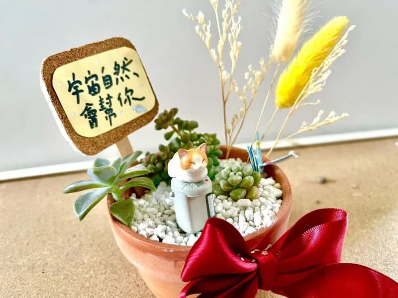 台中 多肉組盆 多肉植物 日式枯山水 微景觀 貓奴送禮 貓咪 生日