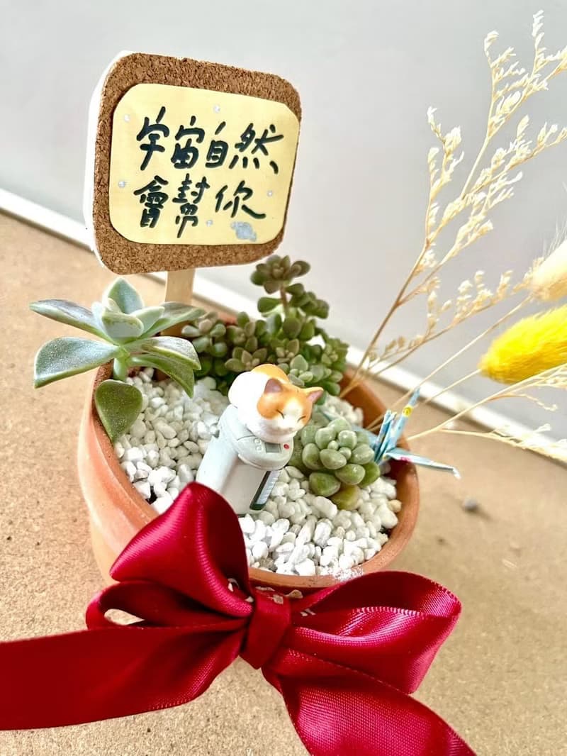 台中 多肉組盆 多肉植物 日式枯山水 微景觀 貓奴送禮 貓咪 生日