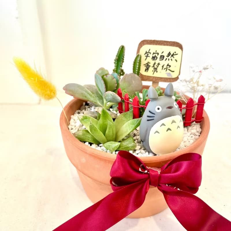 多肉組盆 龍貓 吉卜力 枯山水 微景觀盆栽 生日 橡子共和國 送禮