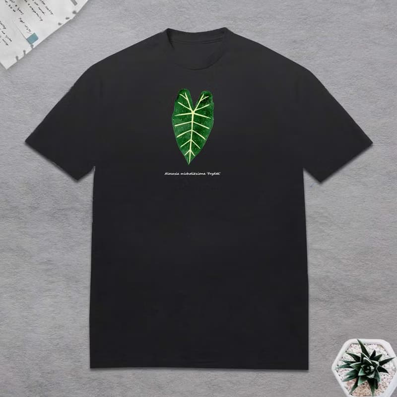 植物 觀音蓮 T恤 觀葉植物