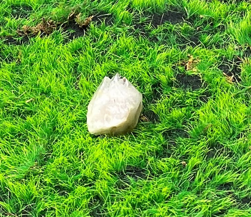 天然原礦能量白水晶共生綠簾石 療癒 開運