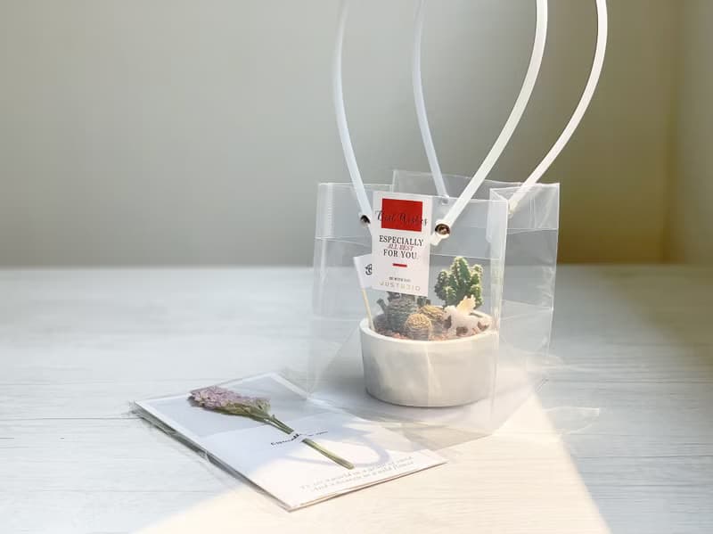【買盆送植物.24h寄出】鯨魚多肉水泥盆 @JU多肉