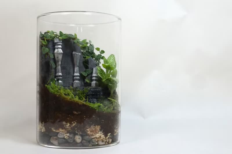 【微景觀】蔓時光遺址 - 室內植物/生日禮物/遺跡/冒險