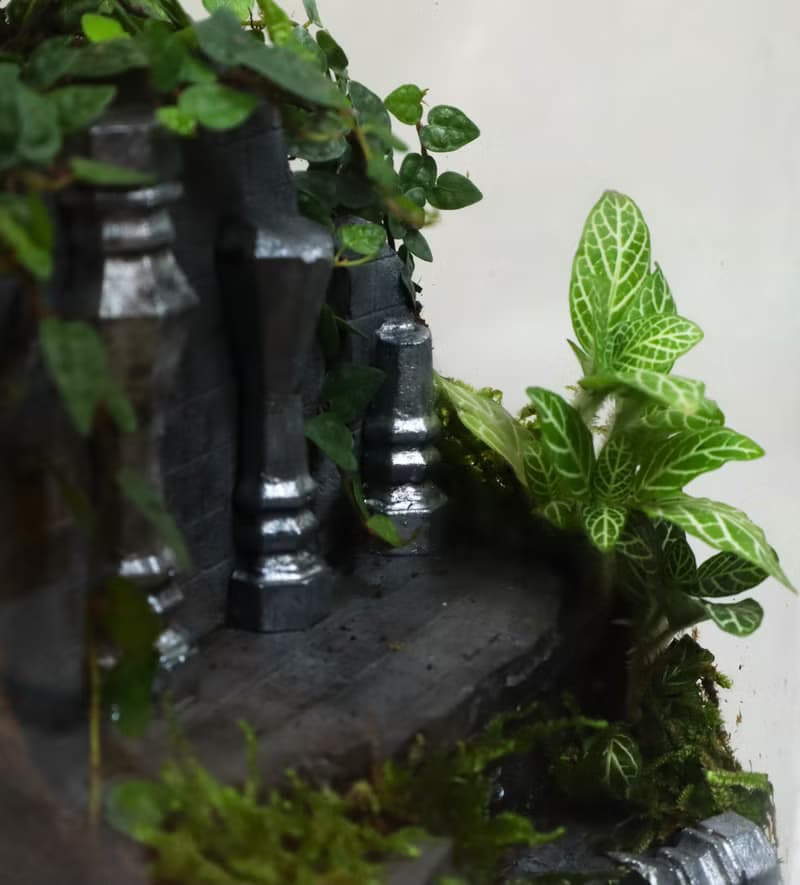 【微景觀】蔓時光遺址 - 室內植物/生日禮物/遺跡/冒險