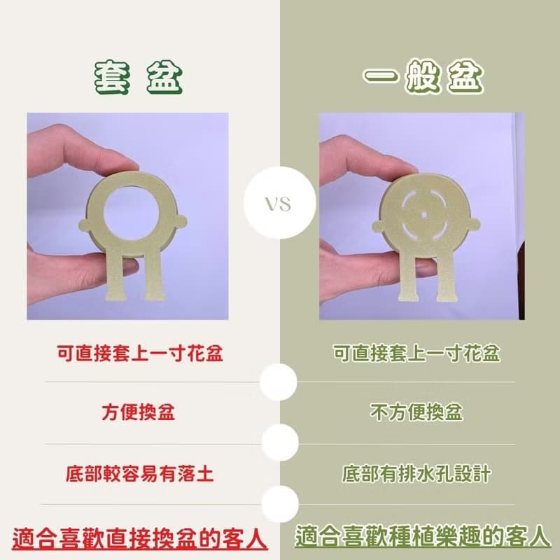 【療癒打印所】【多多綠】可愛療癒花盆 小盆栽 多肉花盆