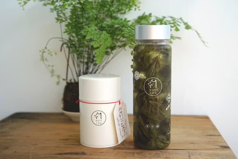 【琅茶】沁涼盆栽・冷泡茶水壺 / 超值定番茶款組合