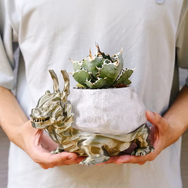 【龍龜】植物盆器 塊根盆 多肉盆 3d列印 盆器 龜甲龍 象牙宮