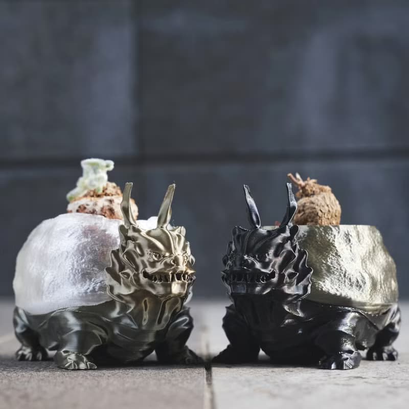 【龍龜】植物盆器 塊根盆 多肉盆 3d列印 盆器 龜甲龍 象牙宮