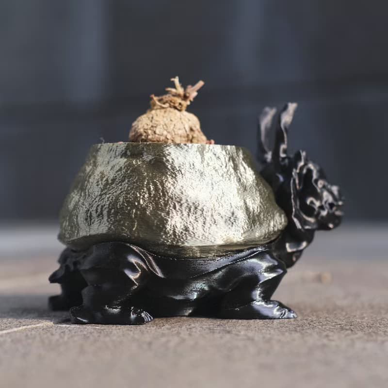 【龍龜】植物盆器 塊根盆 多肉盆 3d列印 盆器 龜甲龍 象牙宮