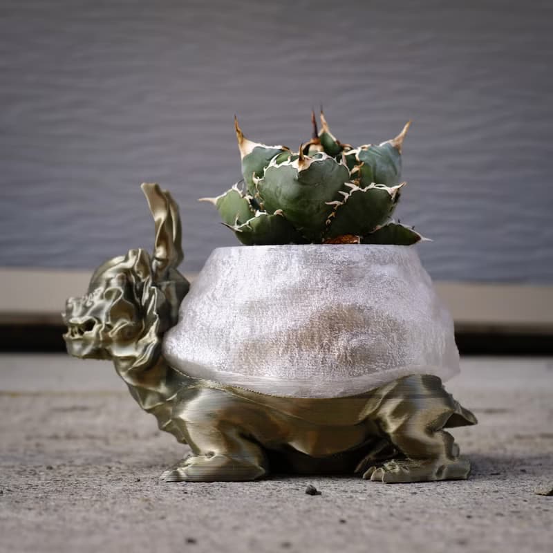 【龍龜】植物盆器 塊根盆 多肉盆 3d列印 盆器 龜甲龍 象牙宮