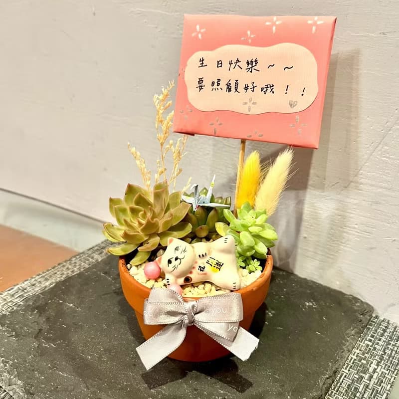 台中多肉組盆 多肉植物 日式枯山水 招財貓咪 日本 療癒盆栽 禮物