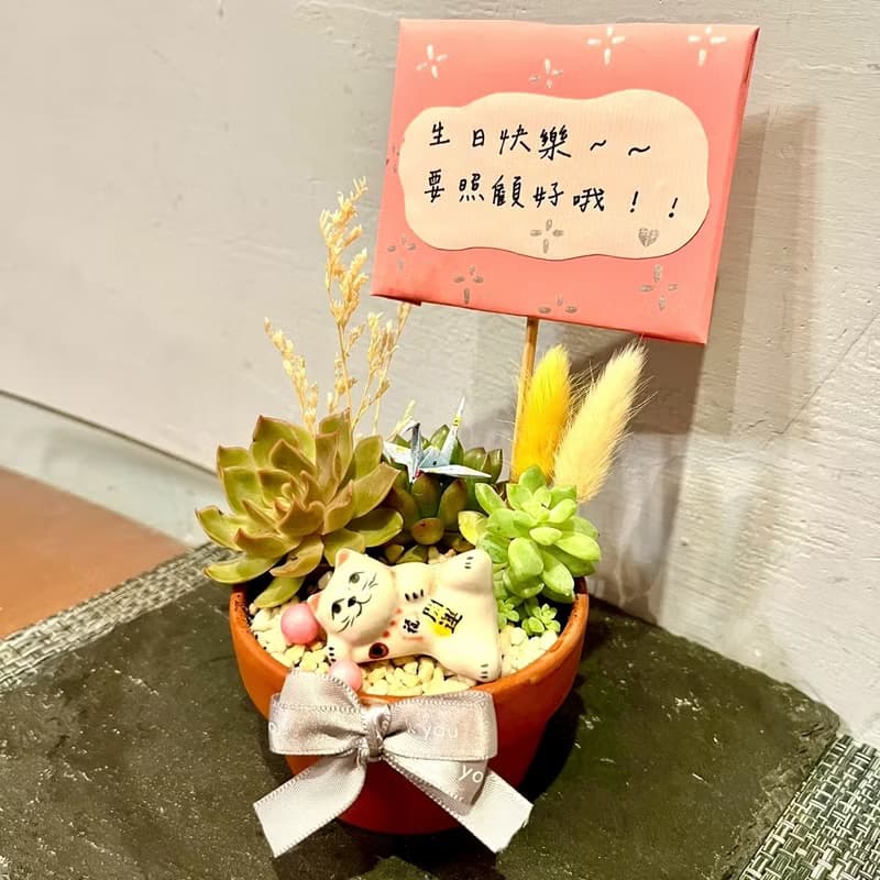 台中多肉組盆 多肉植物 日式枯山水 招財貓咪 日本 療癒盆栽 禮物
