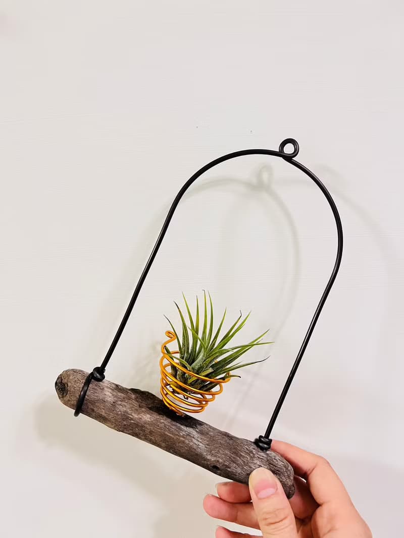 空鳳架 小精靈 空間佈置 交換 畢業禮物(含植物)