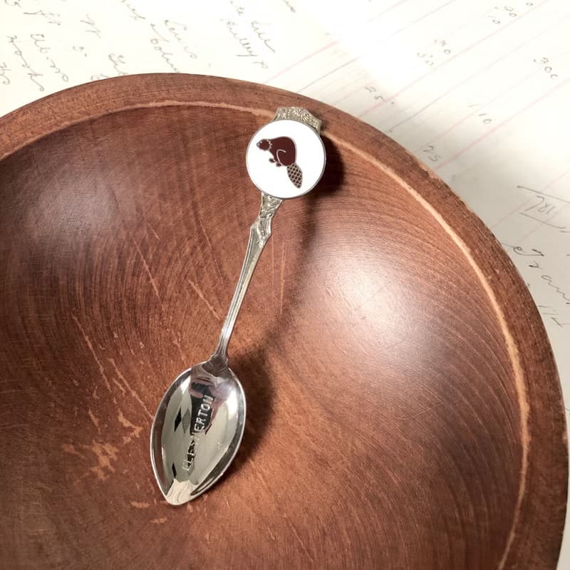 早期加拿大小鎮Flesherton松鼠圖案琺瑯徽章紀念湯匙