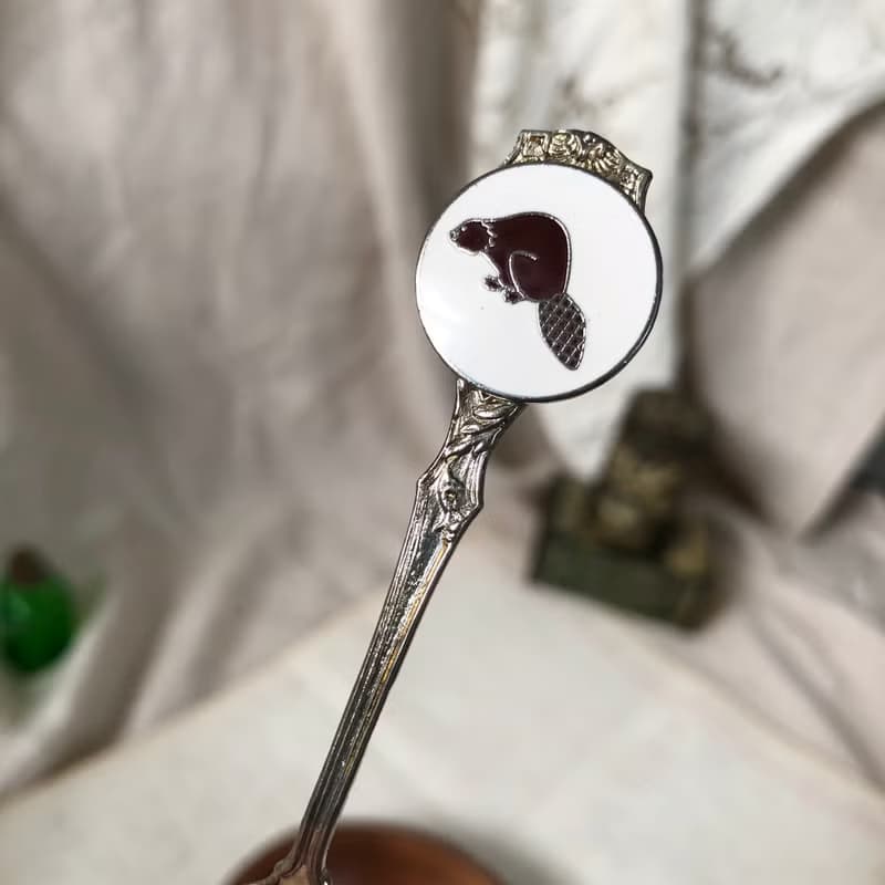 早期加拿大小鎮Flesherton松鼠圖案琺瑯徽章紀念湯匙