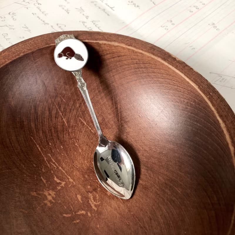 早期加拿大小鎮Flesherton松鼠圖案琺瑯徽章紀念湯匙